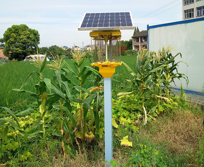 油菜基地杀虫灯多少亩一个